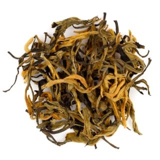 gushudianhong_1